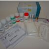 (mb HAIN LPA) GENOTYPE, MTBDRsl, ver. 2.0, 1 test, 31796A