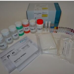 (mb HAIN LPA) GENOTYPE, MTBDRsl, ver. 2.0, 1 test, 31796A