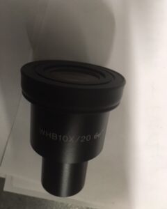 (micr., Olympus CX21) EYEPIECE
