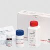(spectrophotometer) KIT, LDL CHOLESTEROL liquic.80 ml 10094