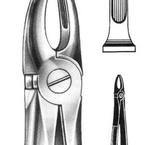 FORCEPS, DENTAL, n?2, upper incisors & bicuspids, 300-00-20