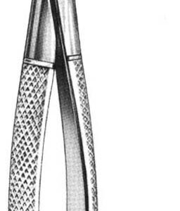 FORCEPS, DENTAL, n?74, low. roots, incisors & bic. 300-07-40