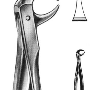 FORCEPS, DENTAL, n?86B, lower molars, 300-08-62