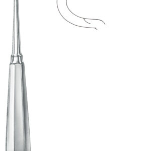 RASPATORY, RIB, DOYEN, adult, 17 cm left 54-30-12