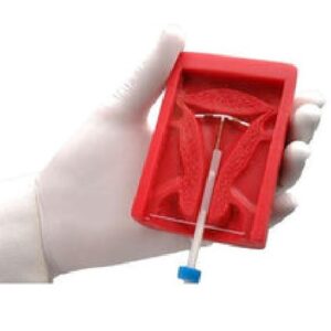 IUD PLACEMENT MODEL, handheld