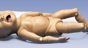 MANNEQUIN, FOETUS, articulated