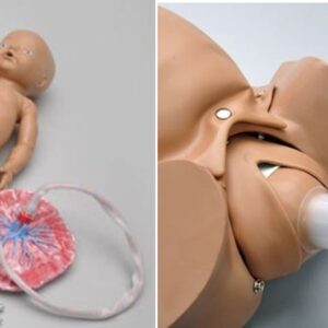 MANNEQUIN, FOETUS for vacuum delivery