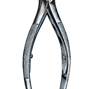 Nail Nipper, Heavy Model, Chrome 5 1/2" (14 cm)