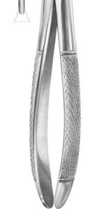 Extracting Forceps English Pattern Lower Premolar for Children