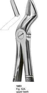 Extracting Forceps English Pattern Upper Teeth And Resection