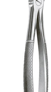 Extracting Forceps English Pattern Upper Third Molars Right