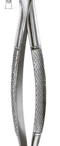 Extracting Forceps English Pattern Lower Molars For Children
