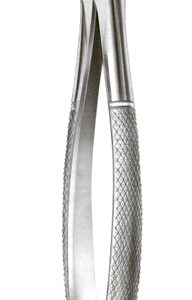 Extracting Forceps English Pattern Lower Third Molar