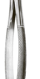 Extracting Forceps English Pattern Upper Canines
