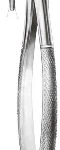 Extracting Forceps English Pattern Lower Incisors
