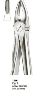 Extracting Forceps Fitting Handle Upper Laterals and Canines