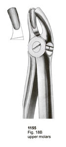 Extracting Forceps Fitting Handle Upper Molars
