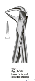 Extracting Forceps Fitting Handle Lower Roots And Crowded Incisors