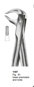 Extracting Forceps Fitting Handle Lower Premolars And Roots