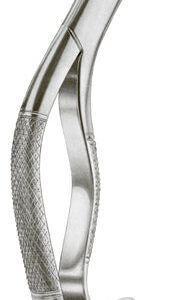 Extracting Forceps American Pattern Showing Lower Molars