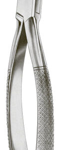 Extracting Forceps American Pattern Universal Forceps