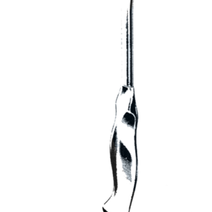 Kelly Retractor With Lamb Handle, 10" (26 cm), Medium, 2 1/2" x 2" Blade (63 mm x 50 mm)