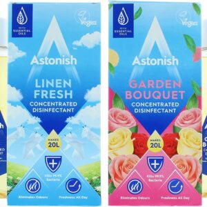 ASTONISH DISINFECTANT 500ML ALL TYPES