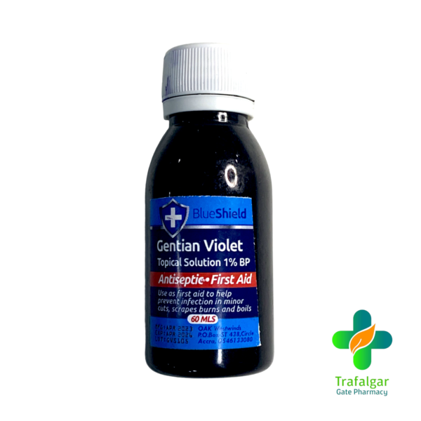 GV PAINT 60ML