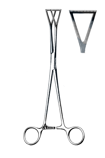 Duval Lung Grasping Forceps, 1" Jaw 8" (20 cm)