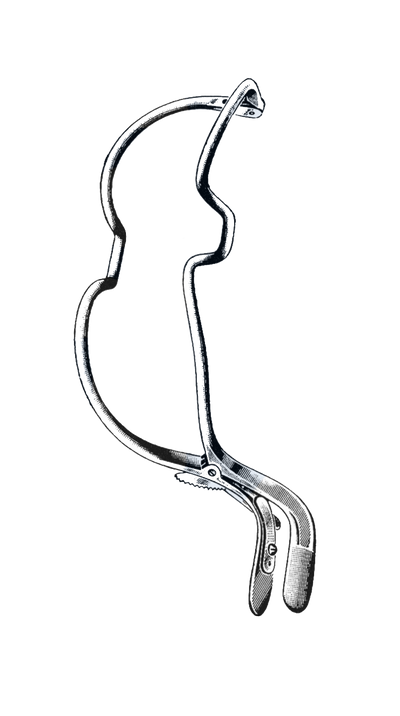 Jennings Mouth Gag, Medium, 5" Wide (13 cm)