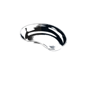 Emesis Basin 8" (20 cm)
