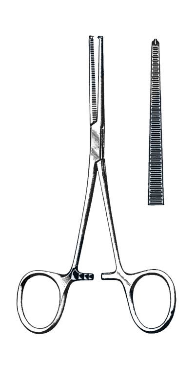 Kocher Forceps Straight, 1x2 Teeth 5 1/2" (14 cm)