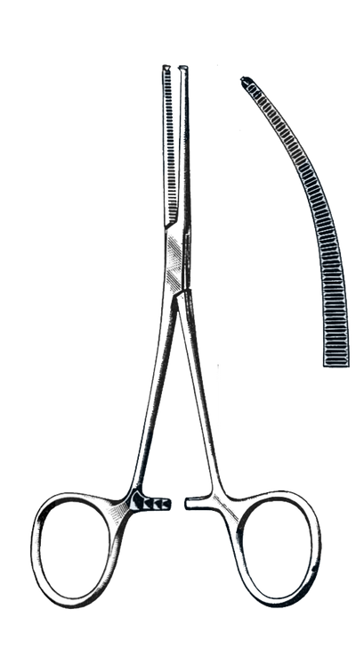 Kocher Forceps Curved, 1x2 Teeth 5 1/2" (14 cm)