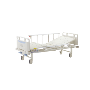 2-Function Full-fowler Bed B11-B1