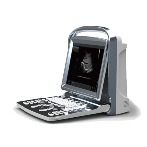 CHISON ECO1 B&W ULTRASOUND ? Convex probe