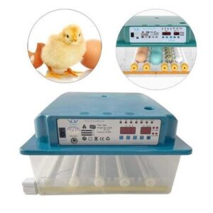Automatic 24 Eggs Incubator Digital Bird Temperature Control Hatcher