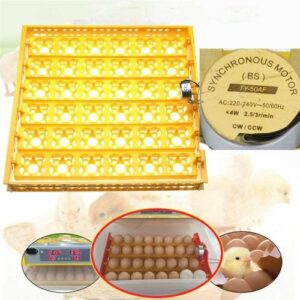 56 Egg Automatic Egg  Turner, Hatching Birds