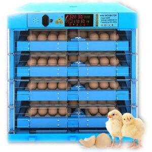 256 Eggs Incubator - Dual Power 220V / 12V