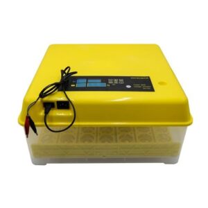 56 Eggs Automatic Incubator  - 220V/12V