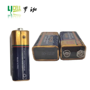 Alkaline 9 v battery