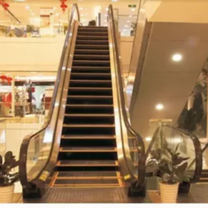 Electric Outdoor Walkway Escalator