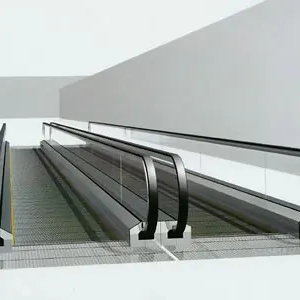 Mechanized conveyor