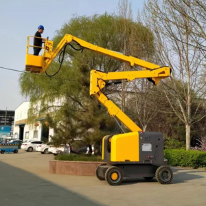 Roofing Machine Lifter by Home Elevator