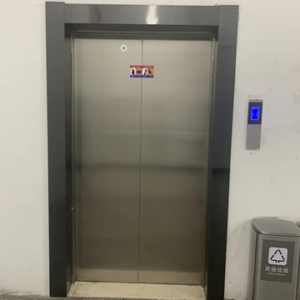 High Quality 450kg 6 Person Elevator Passenger Lift by Home lift Elevator