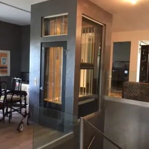 Polished passenger capsule elevator by home lift elevator