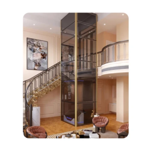 Small size simple capsule open step lift by home lift elevator