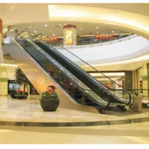 Traffic moving walk and escalator by home lift elevator