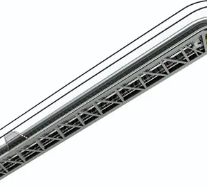 Moving sidewalk escalator by Home lift elevator