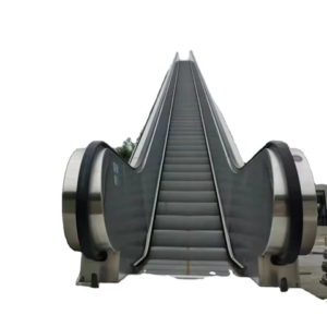 Traffic moving walkway by home lift elevator