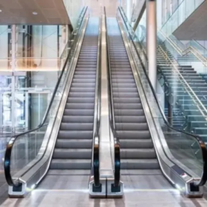 Flat escalator moving sidewalk by home lift elevator